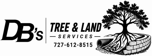 DB's Tree & Land Services logo featuring a stylized DB's, 'Tree & Land Services' text, and a detailed tree with exposed roots over a curved stone wall, plus the phone number 727-612-8515.