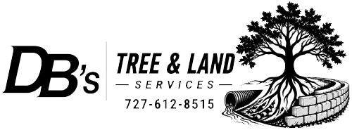 DB’s Tree & Land Services logo with a large tree and roots beside a curved stone wall, including the text 'TREE & LAND SERVICES' and the phone number 727-612-8515.